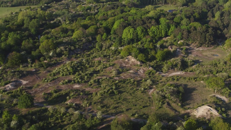 Overhead Perspective of Oostvoorne's Verdant Forests, Sand Dunes