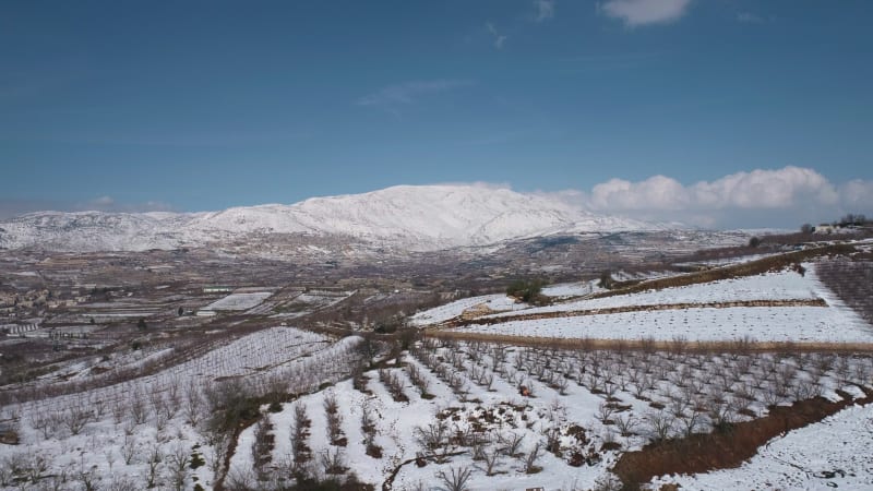 Aerial view of a dry vineyard in the snow, Golan Heights, Israel .