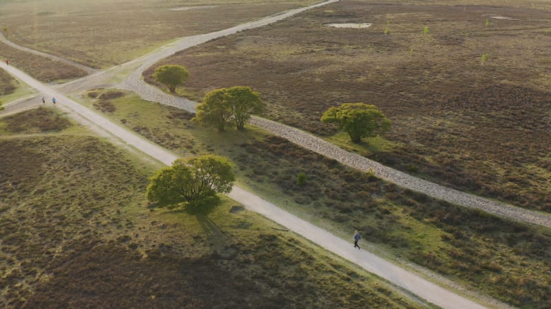 Aerial view of people walking on a footpath adjacent to sand path in the park