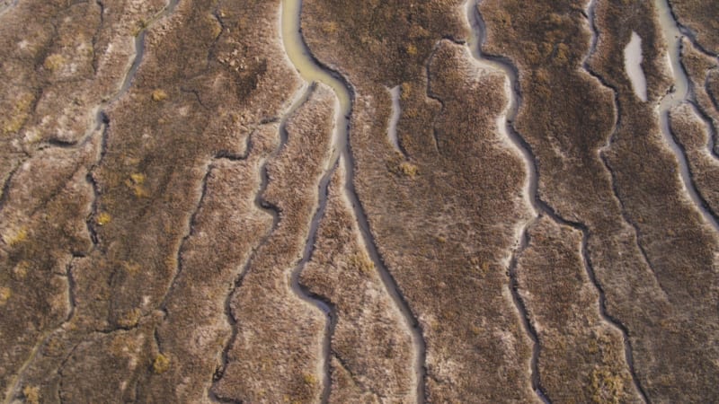 Discovering Oostvoorne's River Delta and Tidal Marshes