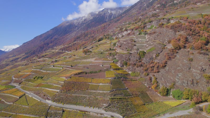 The Valais Wine Region in Switzerland Aerial View