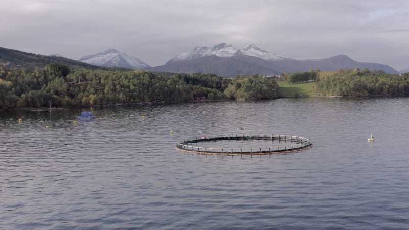 An Aquaculture Fish Farm Pen Used to Hold Fish Stocks for Food