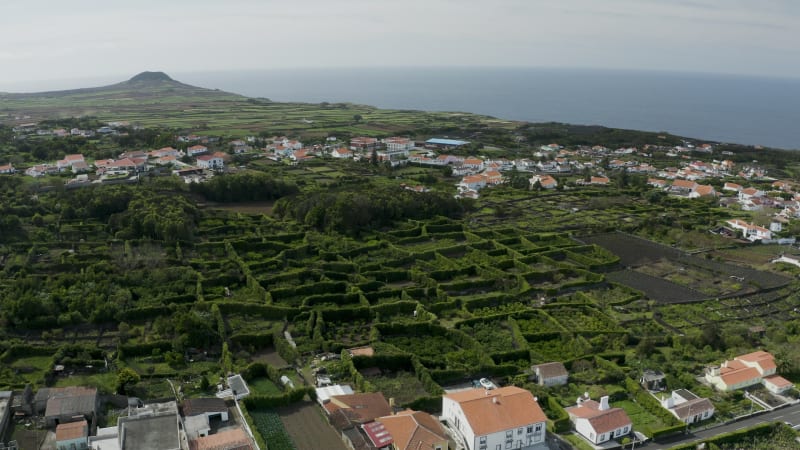 Aerial view of agricultural fields along the coastline near Biscoitos, Azores archipelago, Portugal.