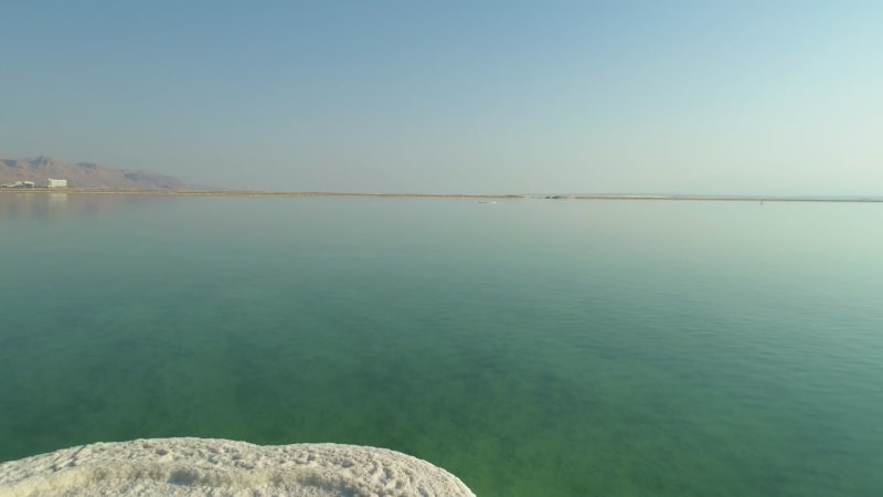 Aerial view of dead tree surrounded by salt water, the Dead sea, Negev, Israel.