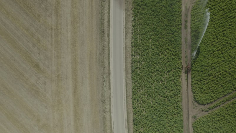 Watering an Agriculture Field in the Dry Season