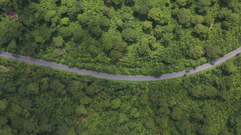 Aerial view of a road crossing the Reserve forest, Cox’s Bazar, Bangladesh.