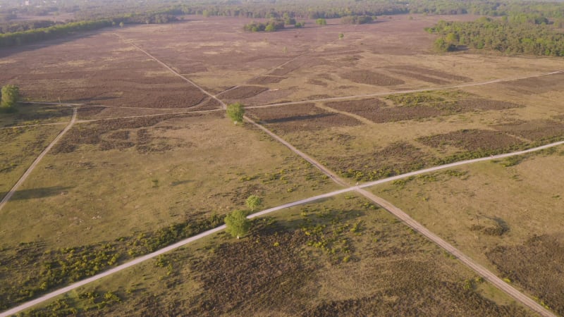 Aerial view of people walking in a large public park