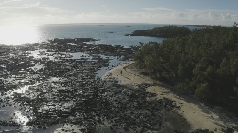 Aerial view of a person walking on the shoreline, Mauritius.