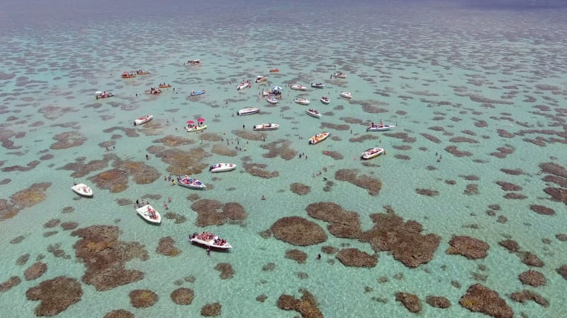 Aerial view of boats and people swimming in turquoise sea.