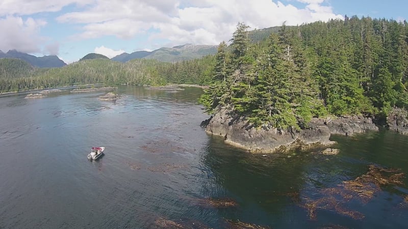 Aerial view of the coast, Alexander Archipelago, Southeast Alaska