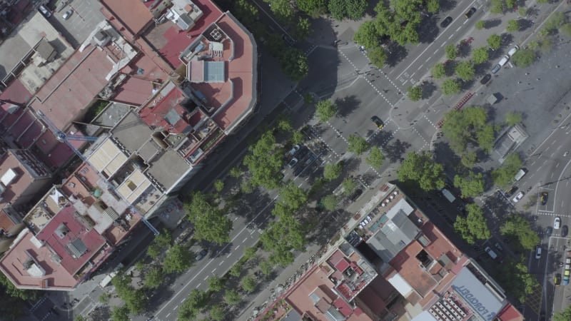 City Streets and Rooftops of Barcelona in the Summer Bird's Eye View