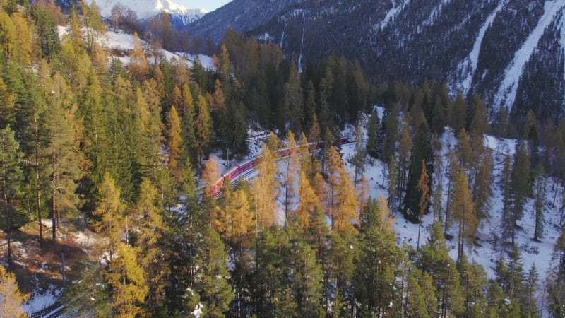 A Train in Switzerland Passing through Beautiful Landscapes