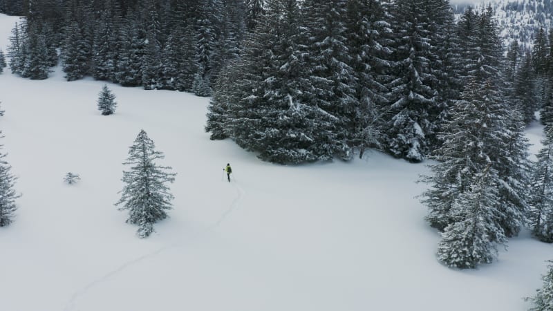 Aerial view of a woman doing cross country skiing, Onnion, France.