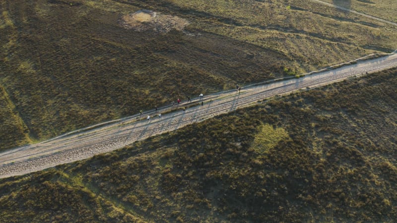 A group of young athletes training in nature under supervision of the coach