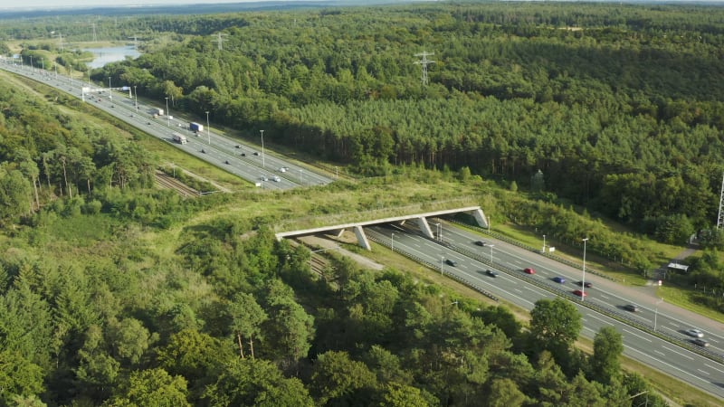 Eco wildlife bridge over a busy highway in the Netherlands
