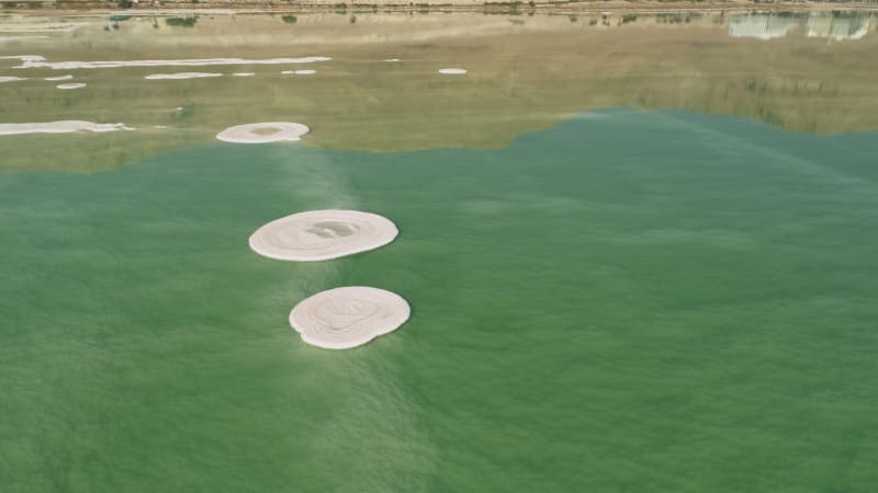Aerial view of circle salt formation in the water. Dead sea, Negev, Israel.