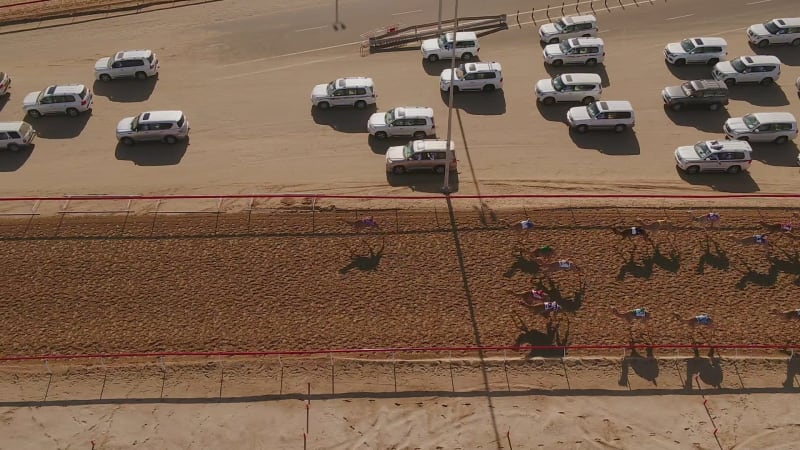 Aerial view of a group of camels during a race in the desert.