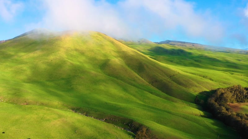 Aerial View of pasture land, Waimea, Hawaii Island, Hawaii, United States.