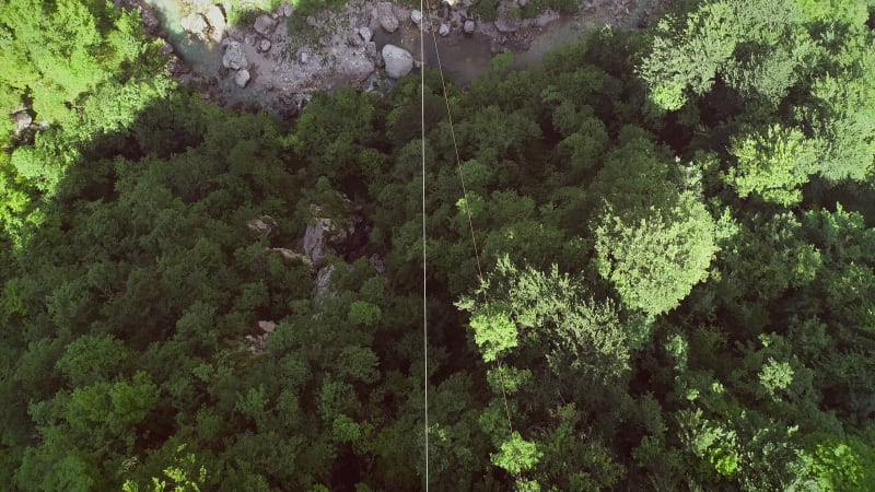 Aerial view of a person canopying over the forest in zip-line.