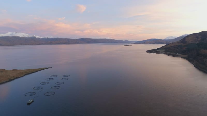 Sunrise View of a Small Aquaculture Salmon Farm in a Loch in Scotland