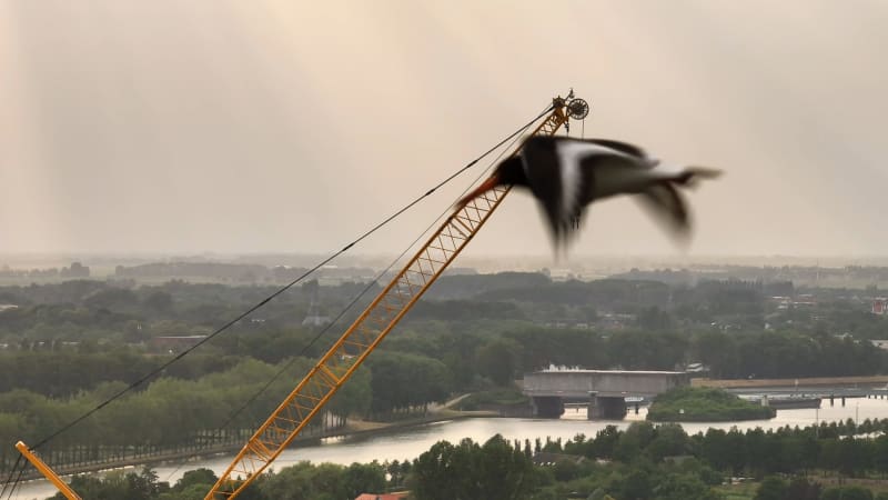 Overhead View of Industrial Crane in Houten, Netherlands