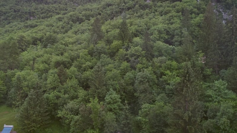 Aerial view of a wooden open hut with people enjoying the evening.