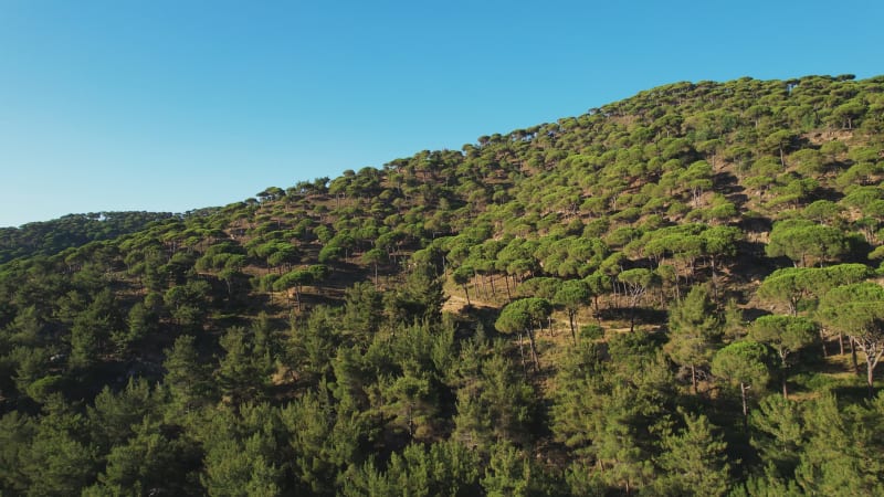 Aerial view of a hilly landscape in Lebanon.