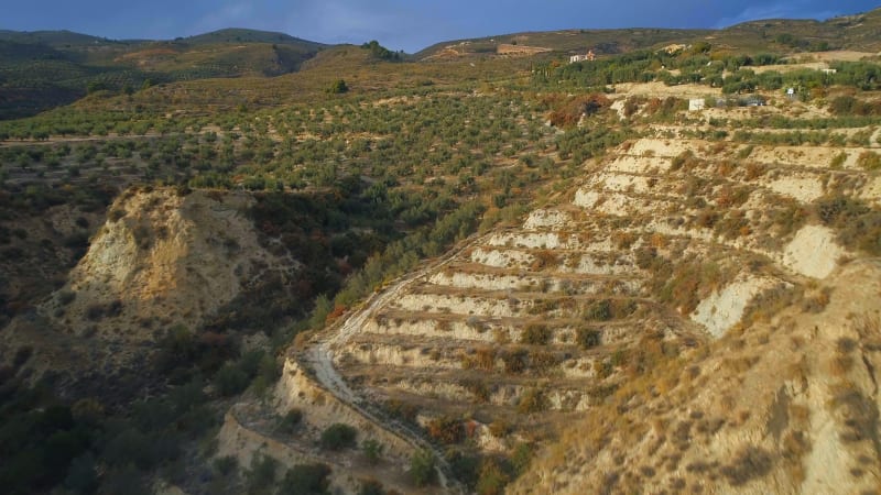 Flying Over Olive Farms in Spain At Sunset