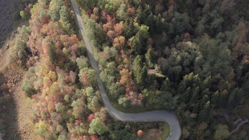 Winding and Steep Mountain Road in the Fall