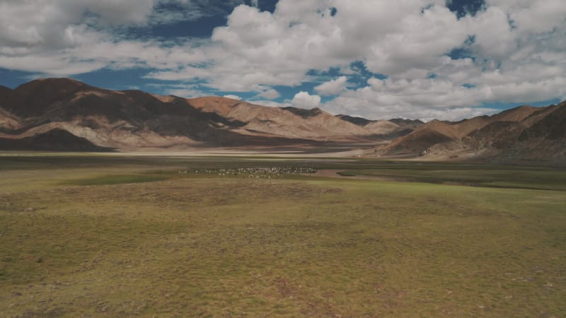 Aerial view of a herd of sheep in a valley, Ladakh region, India.