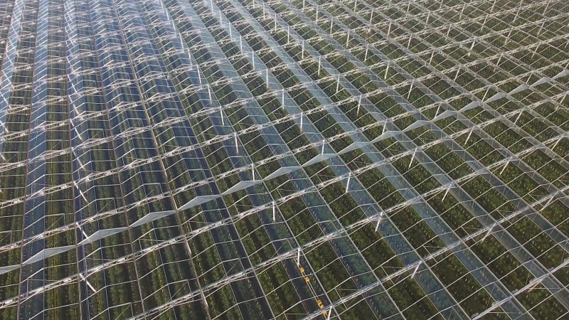 Abstract aerial view of glasshouses in farm in.