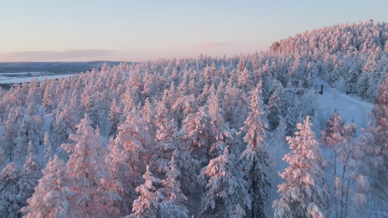 Aerial view of a forest in winter in Overtornea, Sweden.