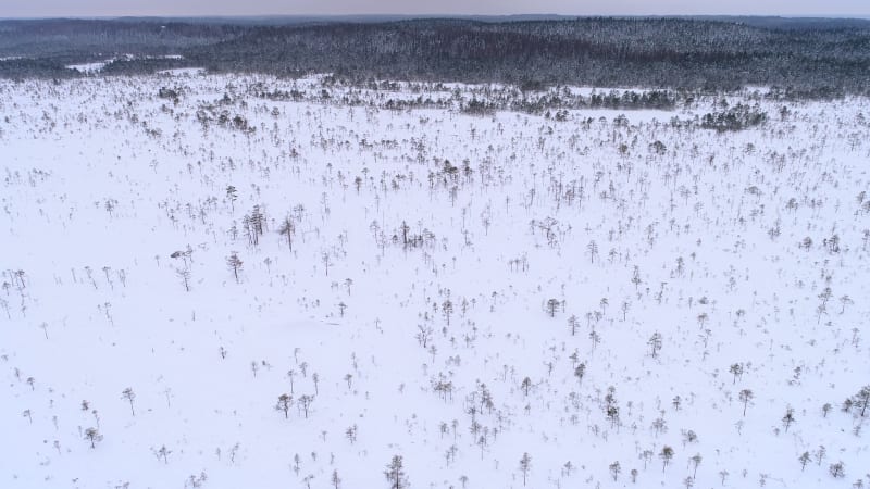 Aerial view of nordic landscapes covered with snow in Harju maakond.