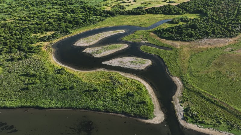 Oostvoornse Meer Marshes: Netherlands' Natural Wildlife Refuge