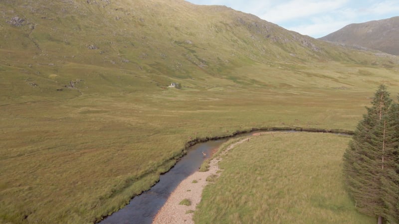 Red Deer In The Scottish Highlands Surrounded By Beautiful Landscape