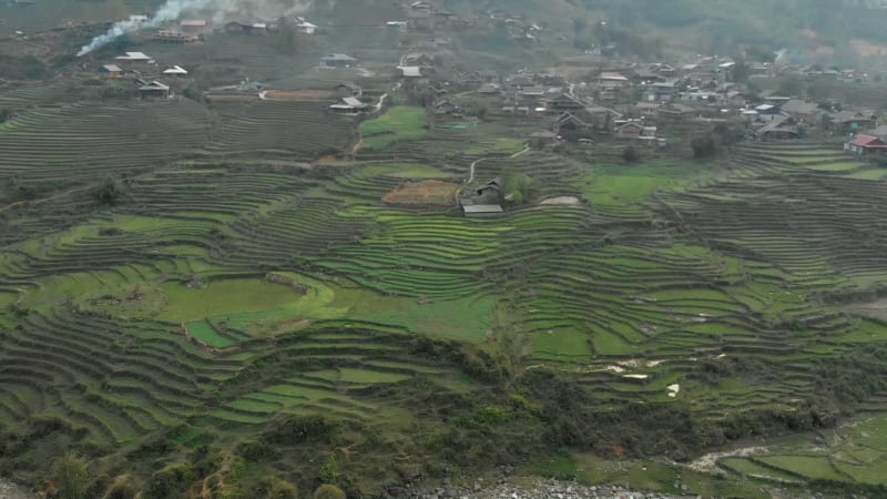 Aerial view of terrace rice fields in Sapa, Vietnam