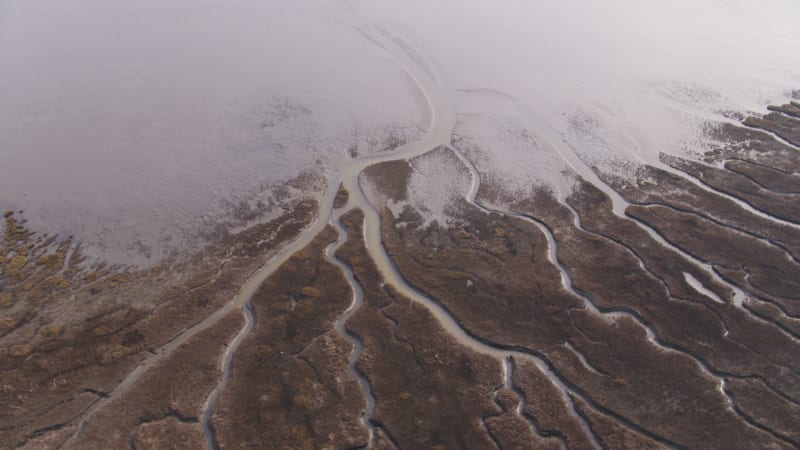 Oostvoorne River Delta and Tidal Marshes Exploration