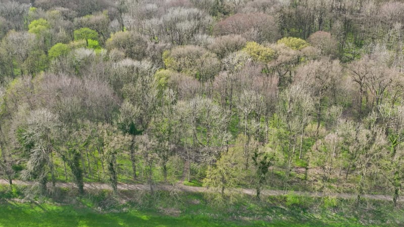 Aerial view of river Linge, Betuwe, Gelderland, Netherlands