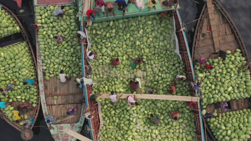 Aerial view of people working with watermelons, Dhaka, Bangladesh.