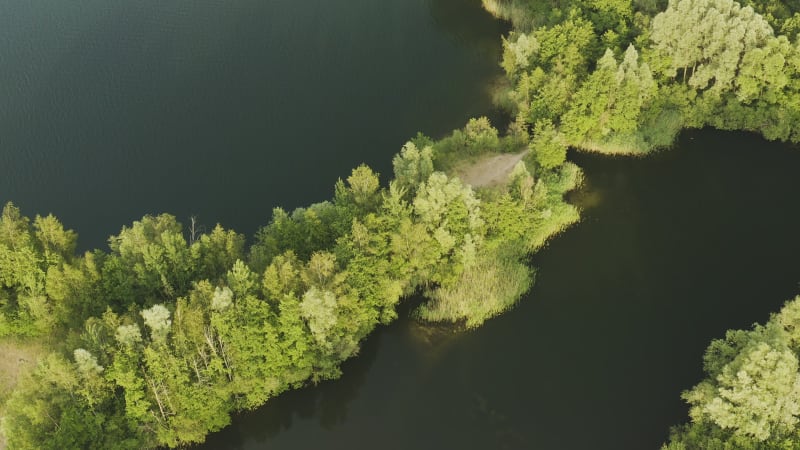 Natural bridge on the lake with thick green trees