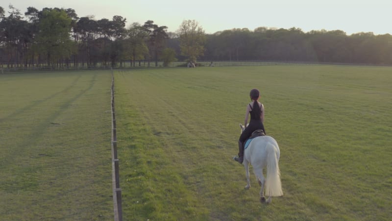 Girl Riding A White Horse in the Countryside