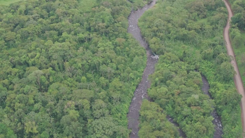 River through rainforest at Arenal Volcano National Park, Costa Rica. High aerial drone view