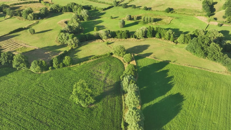 Aerial downward view of small river Geul and grassland, Geuldal, Zuid Limburg