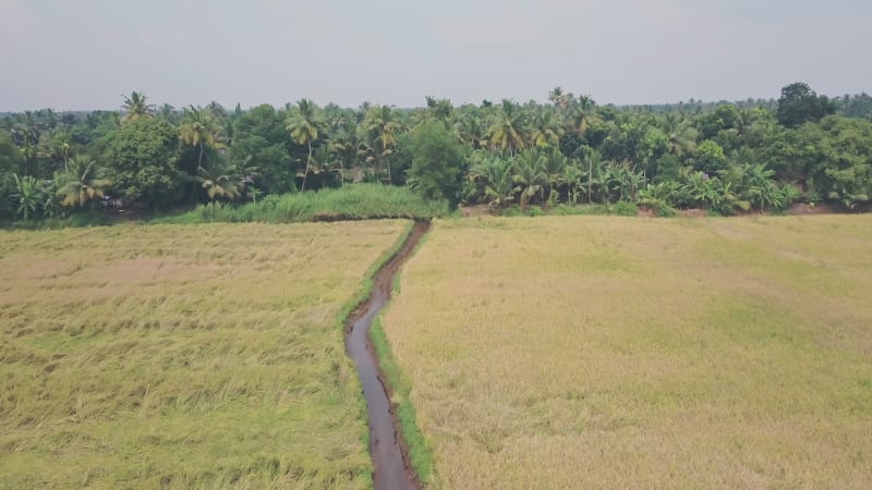 Aerial view of river and tropical landscape in rural India