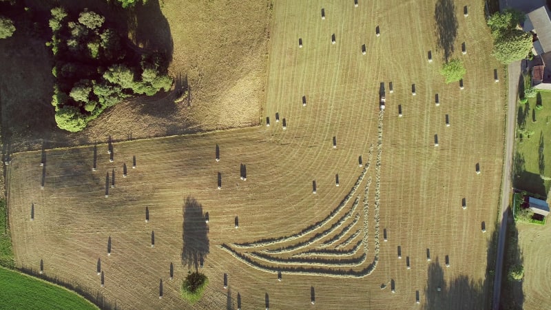 Abstract aerial view of tractor harvesting straw bales in field.