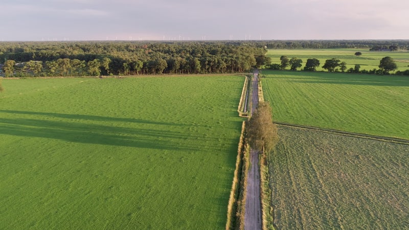 Aerial view of unpaved road between grasslands, Twente.