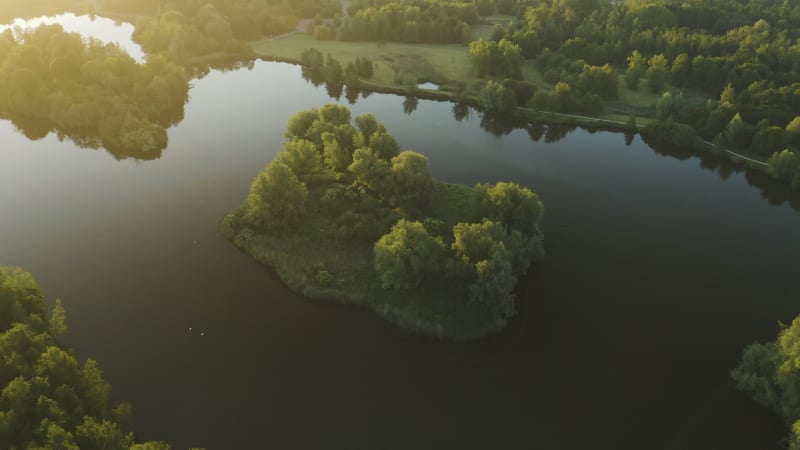 Island on the lake with lush green vegetation