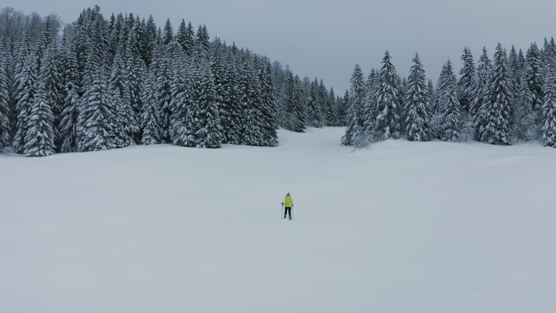 Aerial view of a woman doing cross country skiing, Onnion, France.