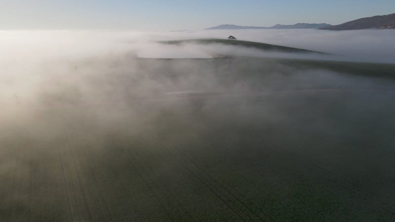 Aerial view of Overberg farm with green field and fog, Western Cape, South Africa