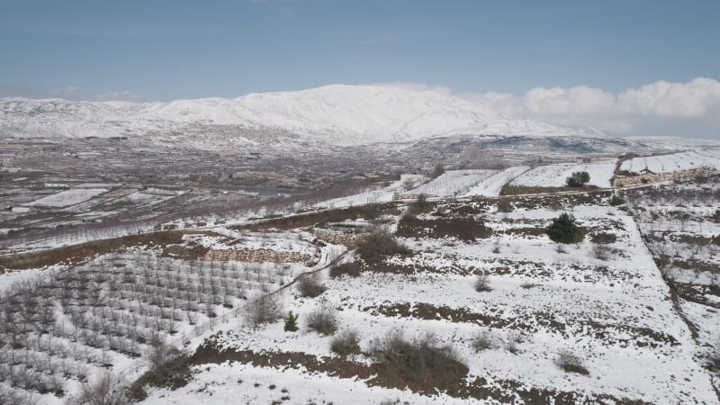 Aerial eines trockenen Weinbergs im Schnee, Golanhöhen, Israel.